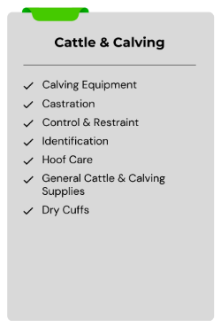 Farm Landing Page section 3 Cattle Calving-118